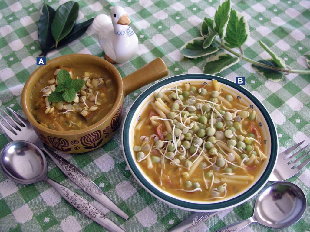 A. Chicken soup with lentils sprouts, vegetables, allspice and mother of herb leaves; B. pea and bean soup with vegetables and bay leaves.