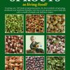 Isabell Shipard's Book on Sprouting Seeds - How can I grow and use Sprouts as living food?