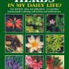 Isabell Shipard's Herb Book - How can I use HERBS in my daily life?