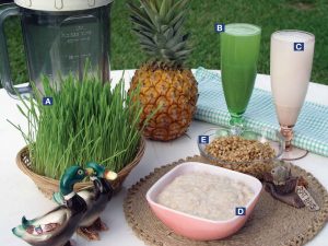 A. oats in basket B. oatgrass and pineapple smoothie C. oatmilk made with sprouts and flavoured with pineapple D. oat porridge made from strained fibre remaining after making oatmilk E. oats soaked, ready for sprouting.