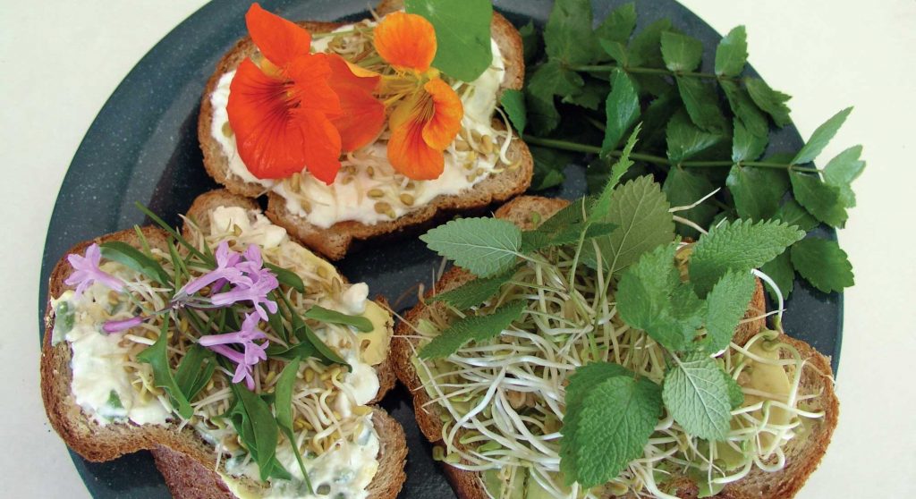 bread topped with honey kefir fenugreek sprouts and nasturtium flowers