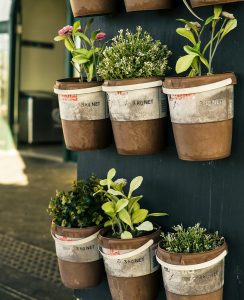 herb garden