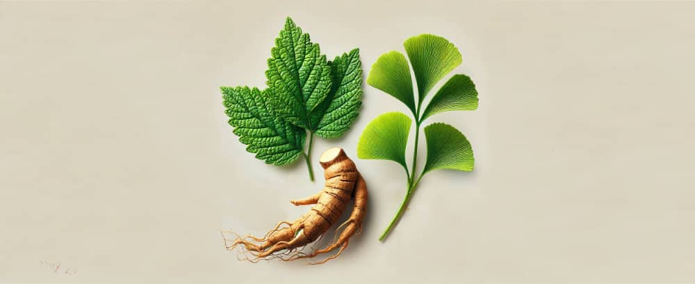 lemon balm, ginseng, and ginkgo